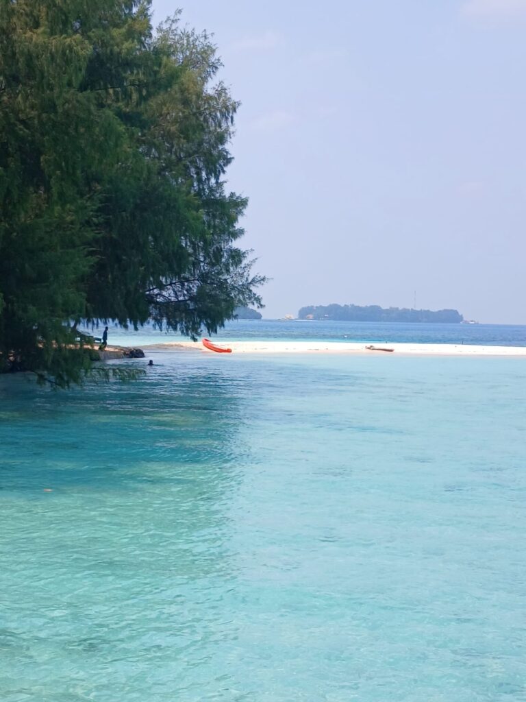 whatsapp image 2025 10 15 at 09.22.19 (1)