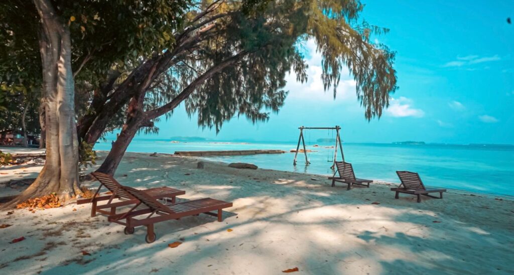 whatsapp image 2025 10 17 at 16.09.02