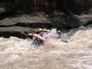 whatsapp image 2025 10 25 at 09.06.27