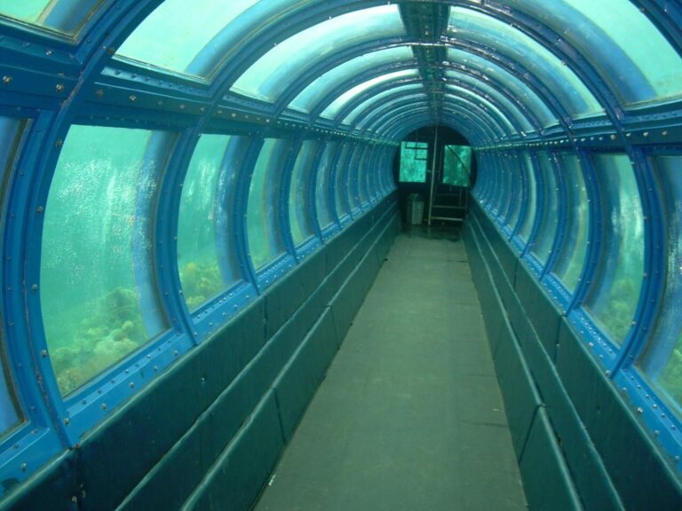 whatsapp image 2026 01 07 at 19.06.39