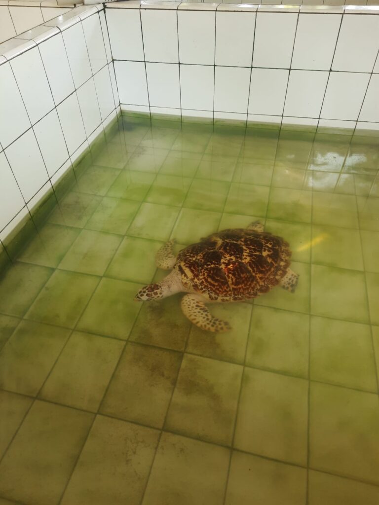 whatsapp image 2025 11 02 at 19.14.48